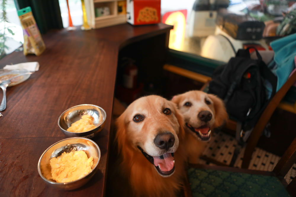台北大安美食|炭波波喫茶。日本昭和懷舊復古咖啡廳、寵物友善餐廳、公館台大商圈美食 - 第24張圖 台北大安美食|炭波波喫茶。日本昭和懷舊復古咖啡廳、寵物友善餐廳、公館台大商圈美食