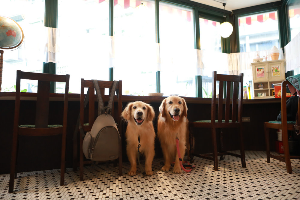 台北大安美食|炭波波喫茶。日本昭和懷舊復古咖啡廳、寵物友善餐廳、公館台大商圈美食 - 第6張圖 台北大安美食|炭波波喫茶。日本昭和懷舊復古咖啡廳、寵物友善餐廳、公館台大商圈美食