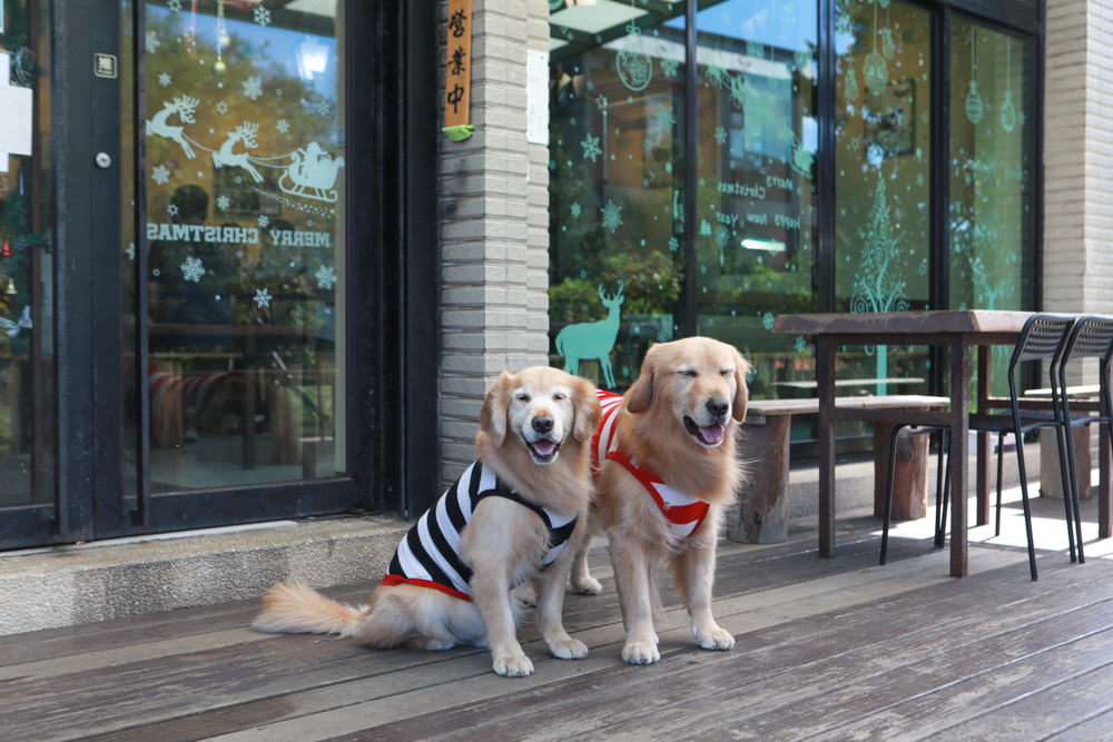 新北三芝美食｜三芝煙燻小棧 Smoky Inn。道地德國豬腳、德式香腸、寵物友善餐廳