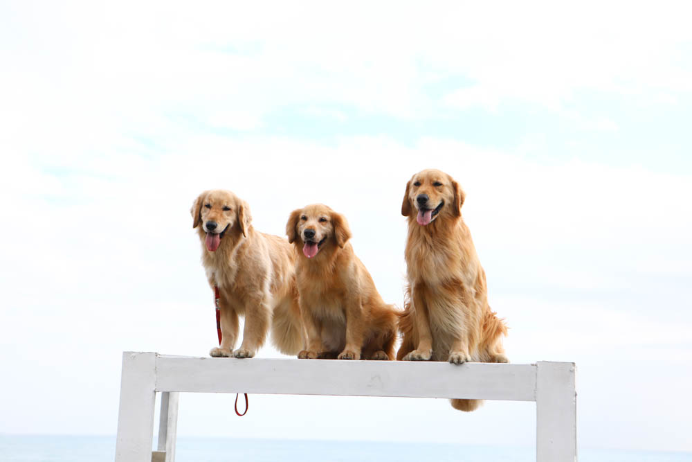 花蓮最夯特色活動｜熊哥海上天梯天空之鏡沙灘車。天空之鏡網美照、沙灘車飆沙、吉普車踏浪