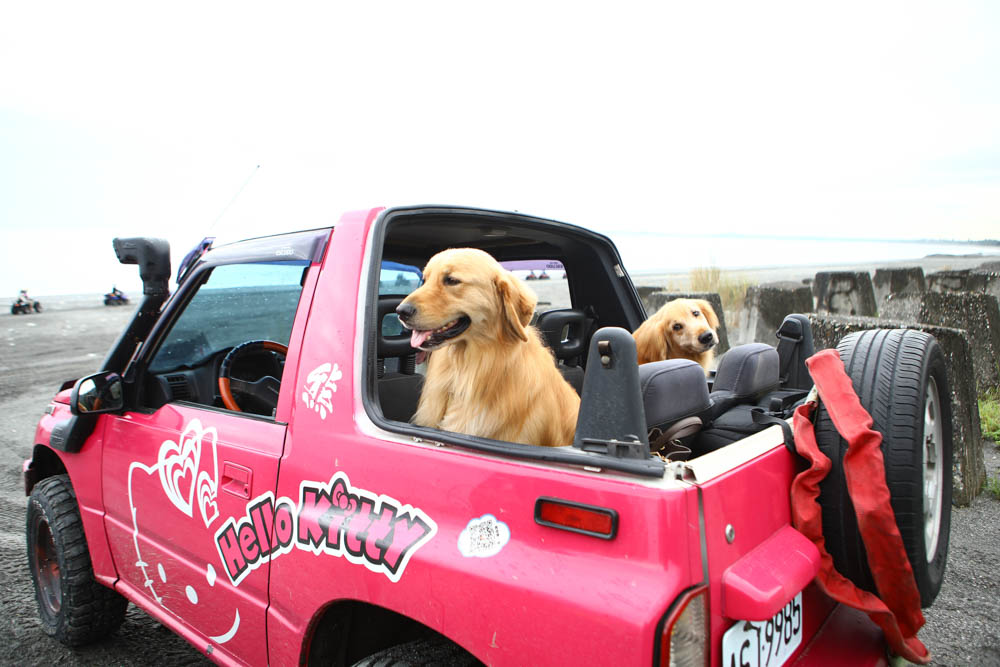 花蓮最夯特色活動｜熊哥海上天梯天空之鏡沙灘車。天空之鏡網美照、沙灘車飆沙、吉普車踏浪