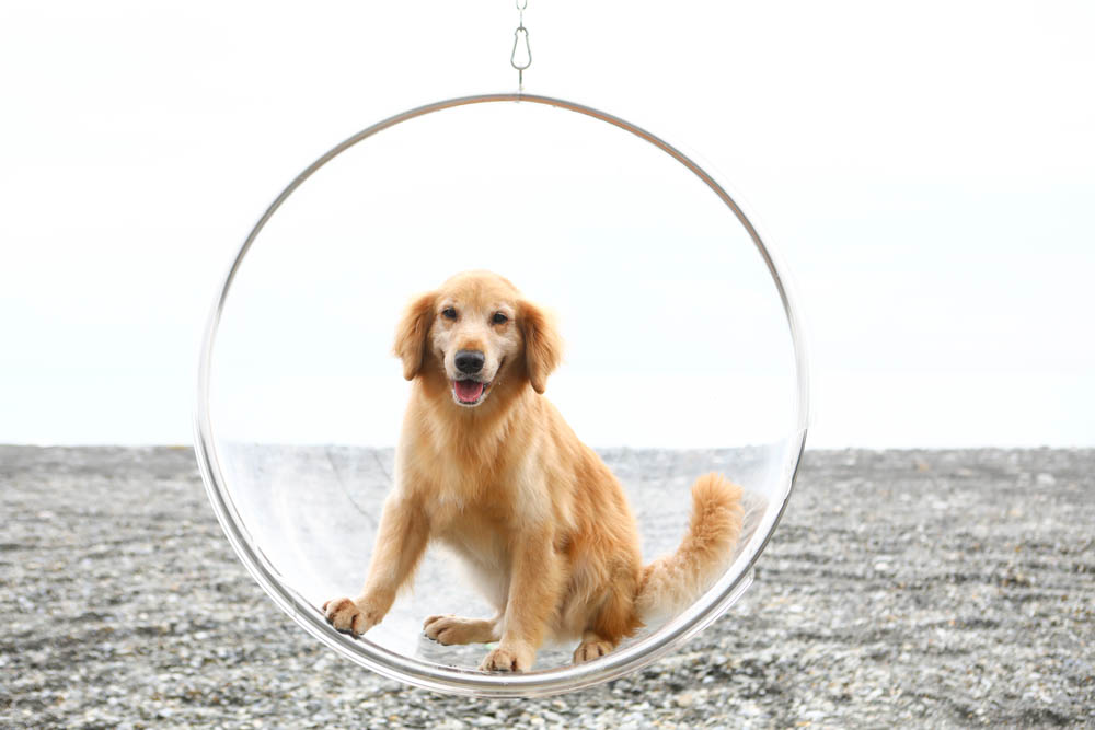 花蓮最夯特色活動｜熊哥海上天梯天空之鏡沙灘車。天空之鏡網美照、沙灘車飆沙、吉普車踏浪