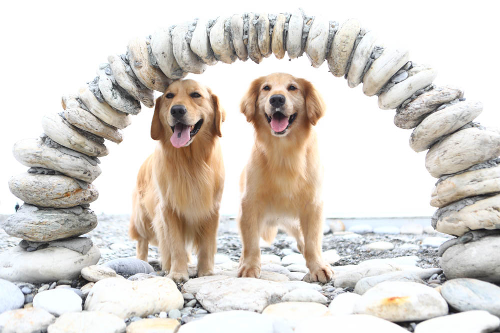 花蓮最夯特色活動｜熊哥海上天梯天空之鏡沙灘車。天空之鏡網美照、沙灘車飆沙、吉普車踏浪