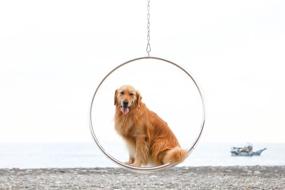 花蓮最夯特色活動｜熊哥海上天梯天空之鏡沙灘車。天空之鏡網美照、沙灘車飆沙、吉普車踏浪