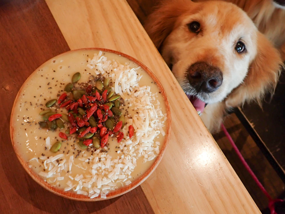 台北中山國中美食｜父母FuMu傳統英式早午餐酒館。寵物友善餐廳、英式大早餐、精釀啤酒