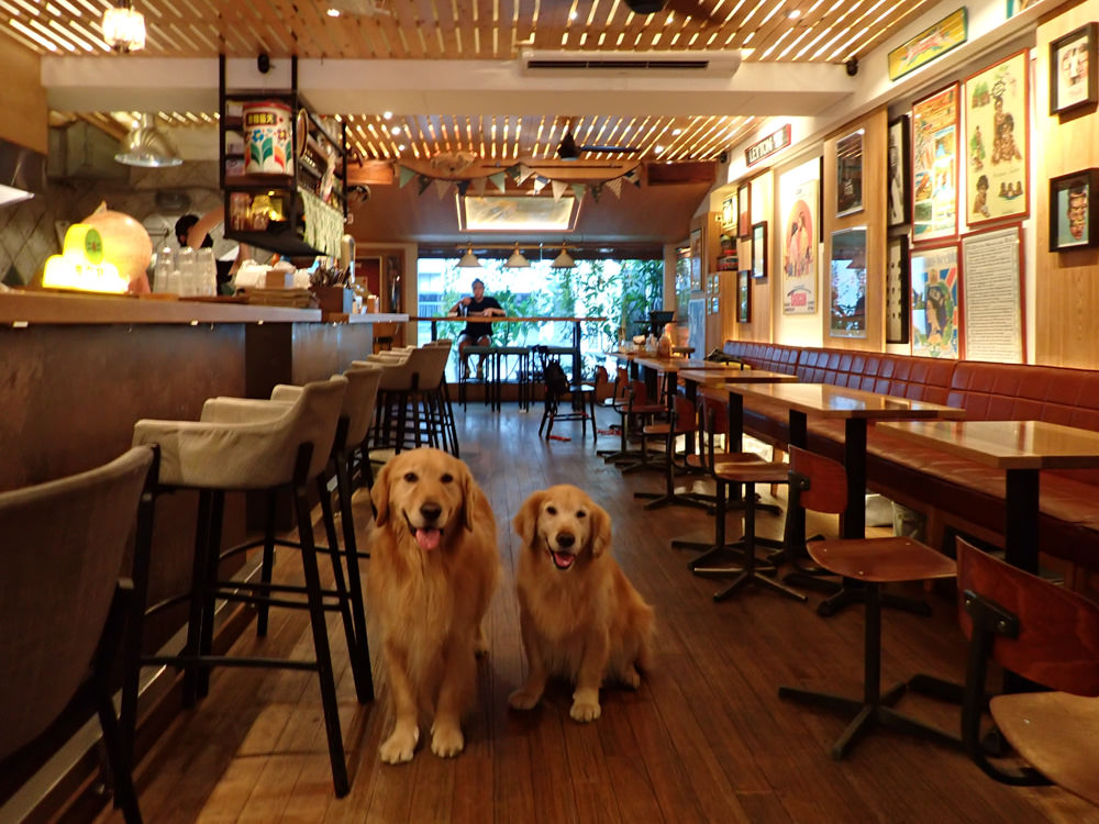 台北中山國中美食｜父母FuMu傳統英式早午餐酒館。寵物友善餐廳、英式大早餐、精釀啤酒