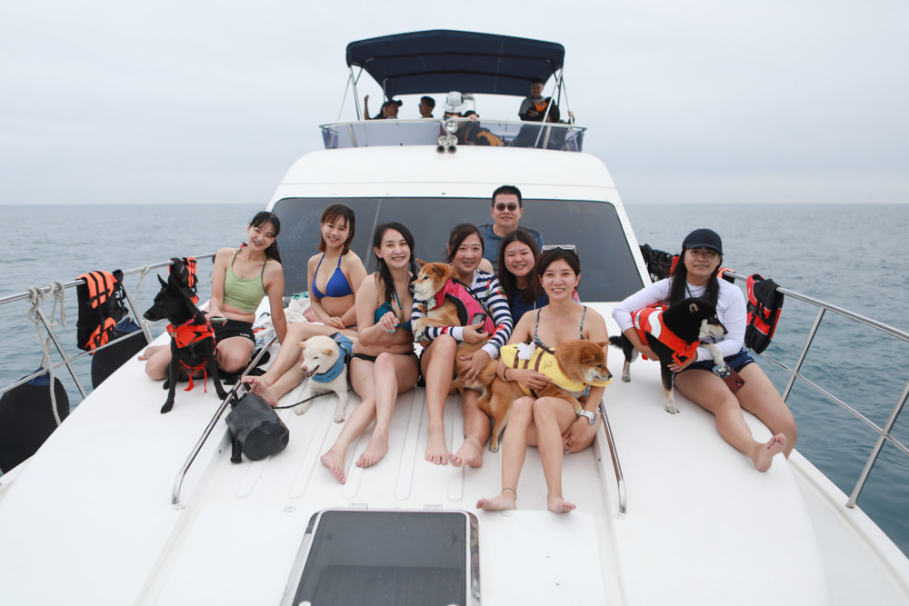 宜蘭頭城｜龜山島牛奶海。宜蘭牛奶海遊艇、SUP立槳體驗、超夢幻蒂芬尼藍的牛奶海絕美美景