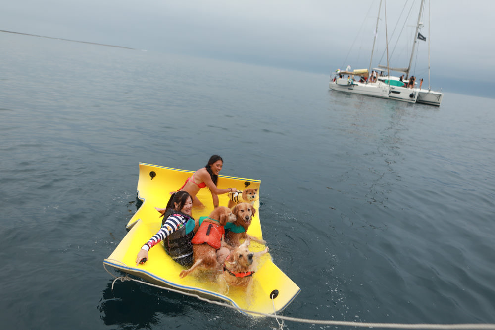 宜蘭頭城｜龜山島牛奶海。宜蘭牛奶海遊艇、SUP立槳體驗、超夢幻蒂芬尼藍的牛奶海絕美美景