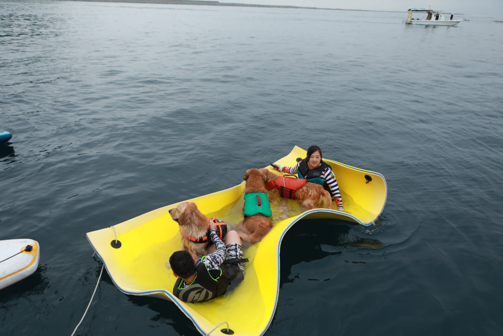 宜蘭頭城｜龜山島牛奶海。宜蘭牛奶海遊艇、SUP立槳體驗、超夢幻蒂芬尼藍的牛奶海絕美美景