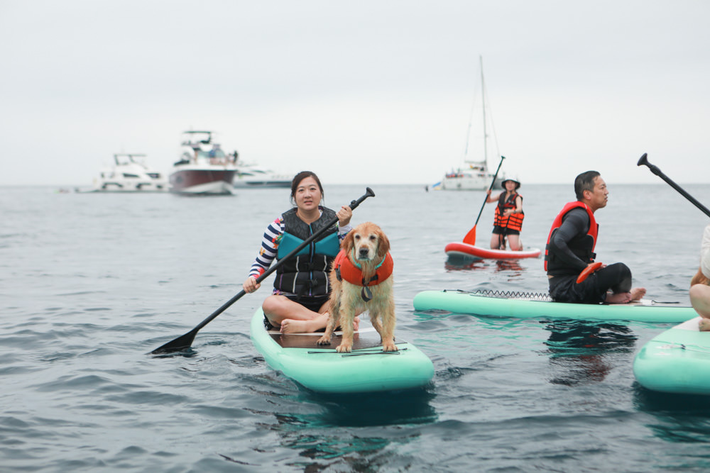 宜蘭頭城｜龜山島牛奶海。宜蘭牛奶海遊艇、SUP立槳體驗、超夢幻蒂芬尼藍的牛奶海絕美美景