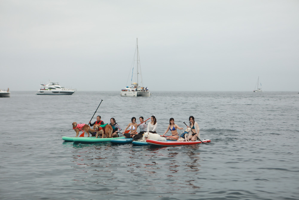 宜蘭頭城｜龜山島牛奶海。宜蘭牛奶海遊艇、SUP立槳體驗、超夢幻蒂芬尼藍的牛奶海絕美美景