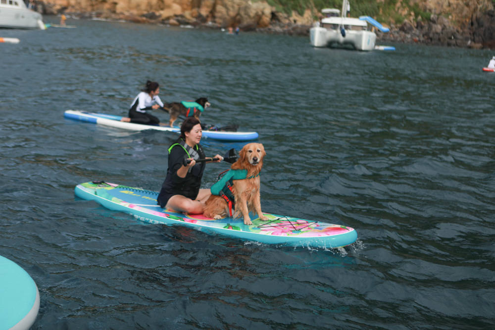 宜蘭頭城｜龜山島牛奶海。宜蘭牛奶海遊艇、SUP立槳體驗、超夢幻蒂芬尼藍的牛奶海絕美美景