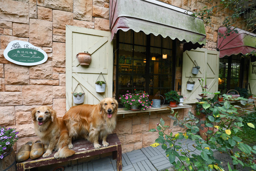 桃園大溪美食|Emmie的南法玫瑰園。森林絕美玻璃屋景觀餐廳、歐風花園、寵物友善餐廳 - 第32張圖 桃園大溪美食|Emmie的南法玫瑰園。森林絕美玻璃屋景觀餐廳、歐風花園、寵物友善餐廳