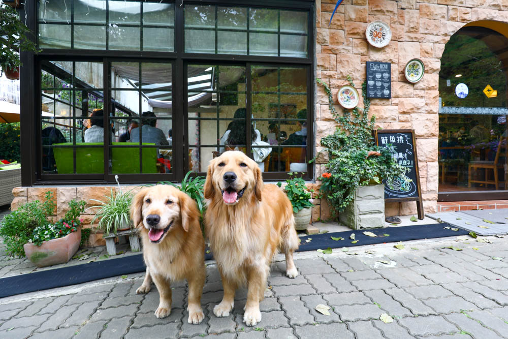 桃園大溪美食|Emmie的南法玫瑰園。森林絕美玻璃屋景觀餐廳、歐風花園、寵物友善餐廳 - 第31張圖 桃園大溪美食|Emmie的南法玫瑰園。森林絕美玻璃屋景觀餐廳、歐風花園、寵物友善餐廳