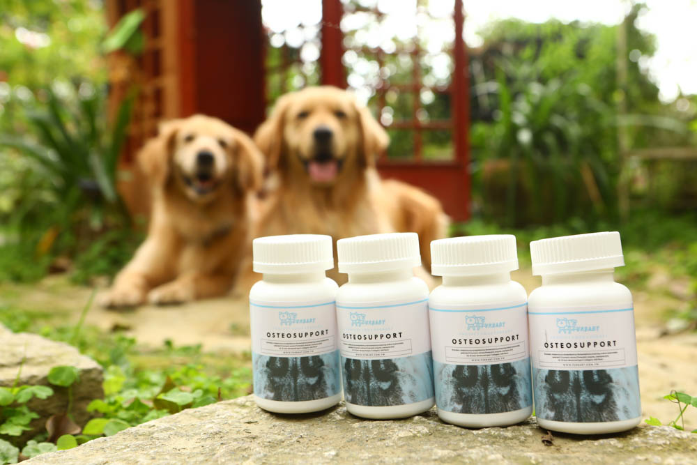 寵物關節保健｜心關健犬貓關節保健品。獸醫師推薦的狗狗關節保養品、添加 UC-II 、三合一關節保養配方、潤滑玻尿酸