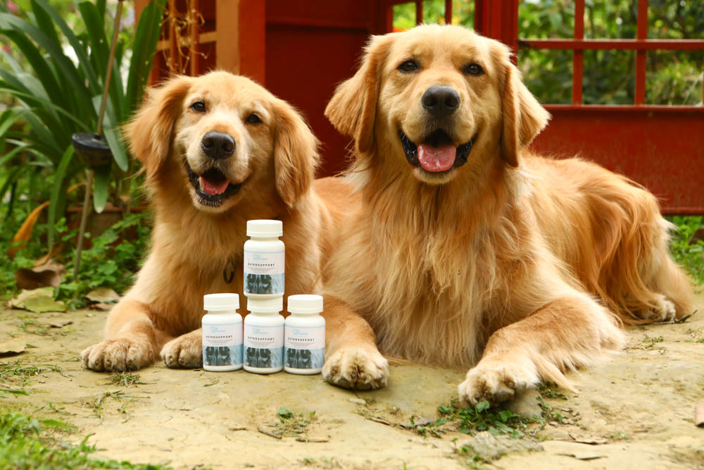 寵物關節保健｜心關健犬貓關節保健品。獸醫師推薦的狗狗關節保養品、添加 UC-II 、三合一關節保養配方、潤滑玻尿酸