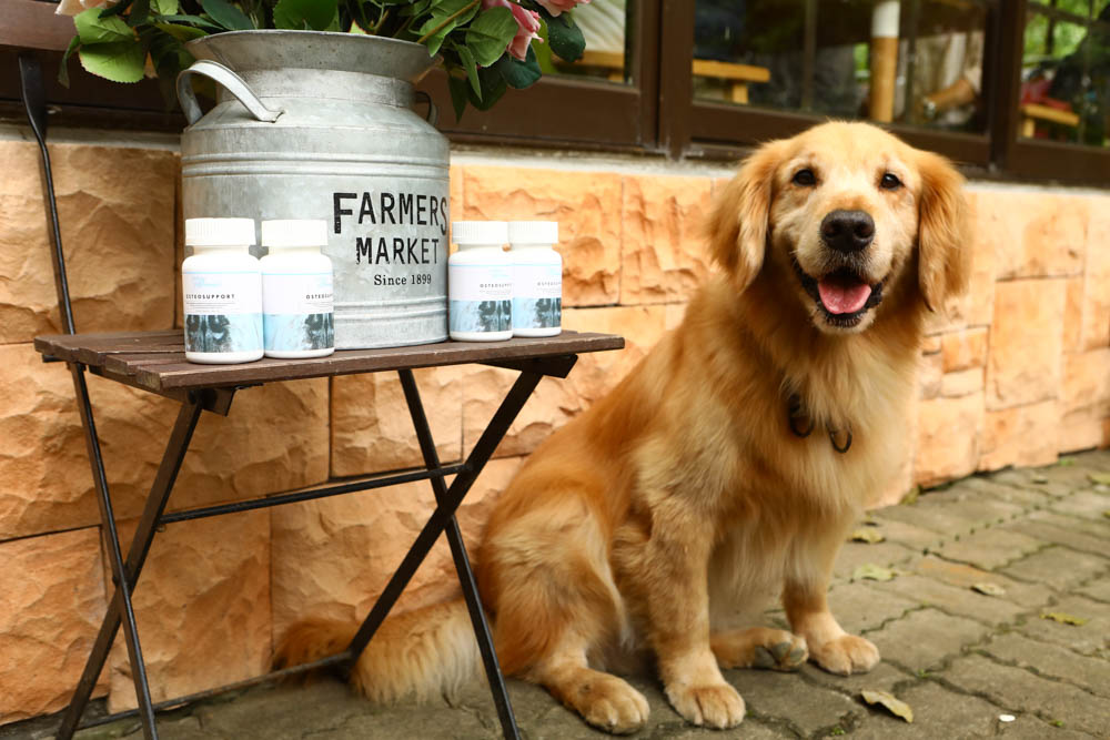 寵物關節保健｜心關健犬貓關節保健品。獸醫師推薦的狗狗關節保養品、添加 UC-II 、三合一關節保養配方、潤滑玻尿酸