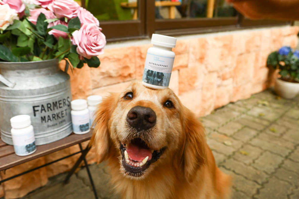 寵物關節保健｜心關健犬貓關節保健品。獸醫師推薦的狗狗關節保養品、添加 UC-II 、三合一關節保養配方、潤滑玻尿酸