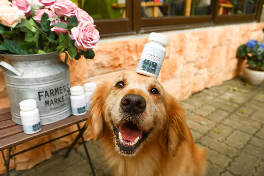 寵物關節保健｜心關健犬貓關節保健品。獸醫師推薦的狗狗關節保養品、添加 UC-II 、三合一關節保養配方、潤滑玻尿酸