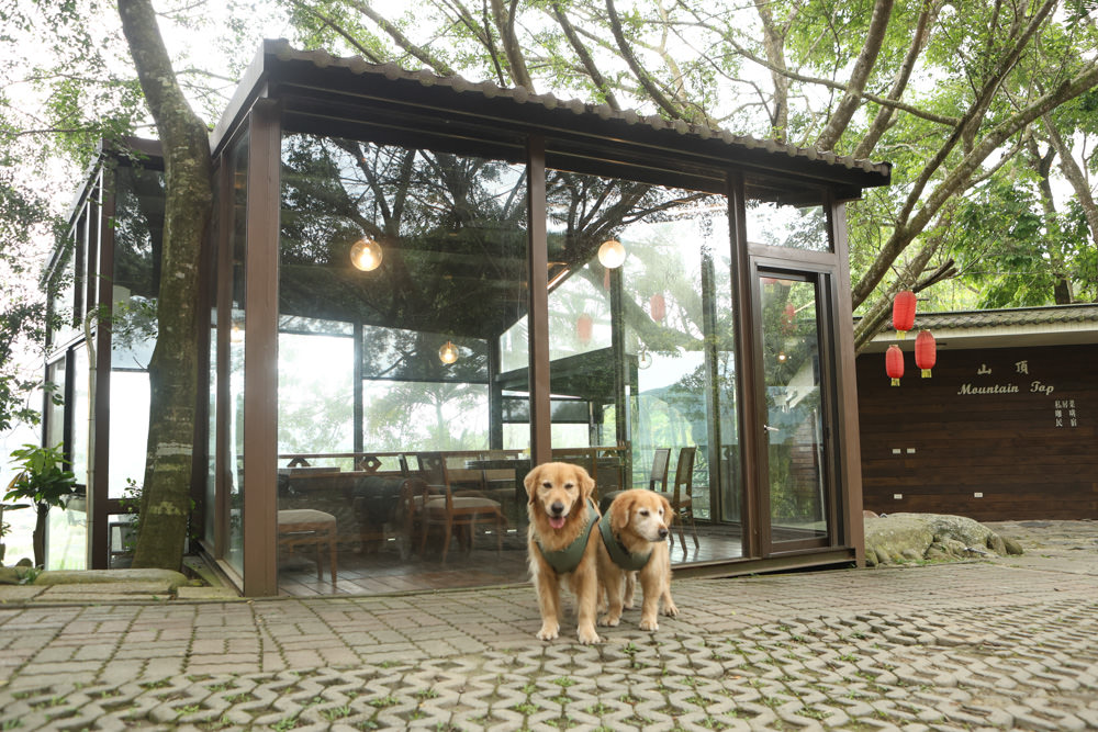 南投魚池美食｜山頂玻璃屋私房菜。淮揚菜無菜單私房料理、預約制、寵物友善餐廳、日月潭美食