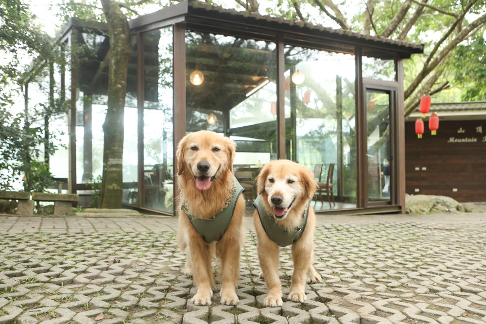南投魚池美食｜山頂玻璃屋私房菜。淮揚菜無菜單私房料理、預約制、寵物友善餐廳、日月潭美食