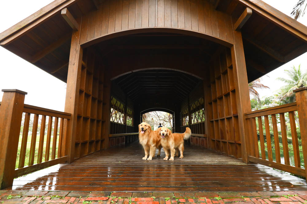 花蓮理想大地渡假飯店|毛孩旅行趣住房專案 。專屬寵物樂園島、搭專船遊運河、一泊二食、五星級寵物友善飯店 - 第54張圖 花蓮理想大地渡假飯店|毛孩旅行趣住房專案 。專屬寵物樂園島、搭專船遊運河、一泊二食、五星級寵物友善飯店