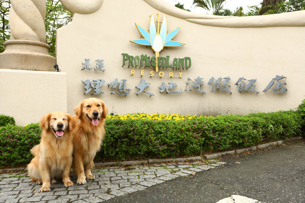 花蓮理想大地渡假飯店|毛孩旅行趣住房專案 。專屬寵物樂園島、搭專船遊運河、一泊二食、五星級寵物友善飯店 - 第130張圖 花蓮理想大地渡假飯店|毛孩旅行趣住房專案 。專屬寵物樂園島、搭專船遊運河、一泊二食、五星級寵物友善飯店