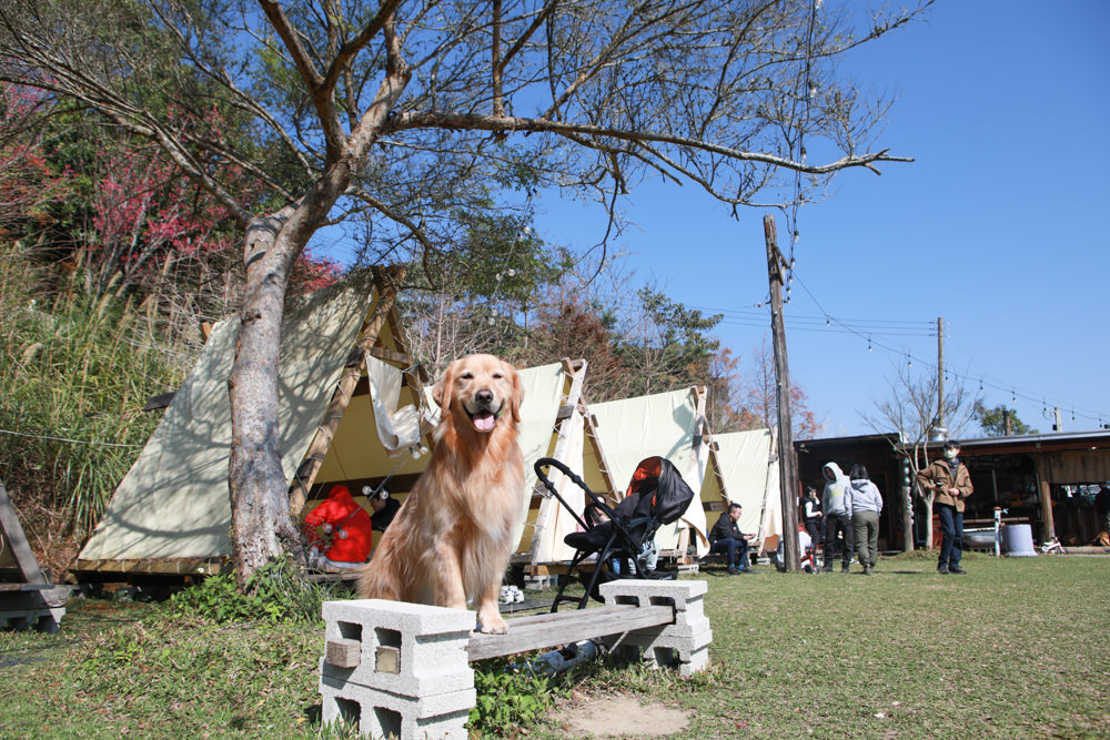 苗栗大湖｜琉璃秋境懶人野餐・窯烤披薩。寵物友善餐廳、帳篷野餐、絕美山嵐雲海景觀