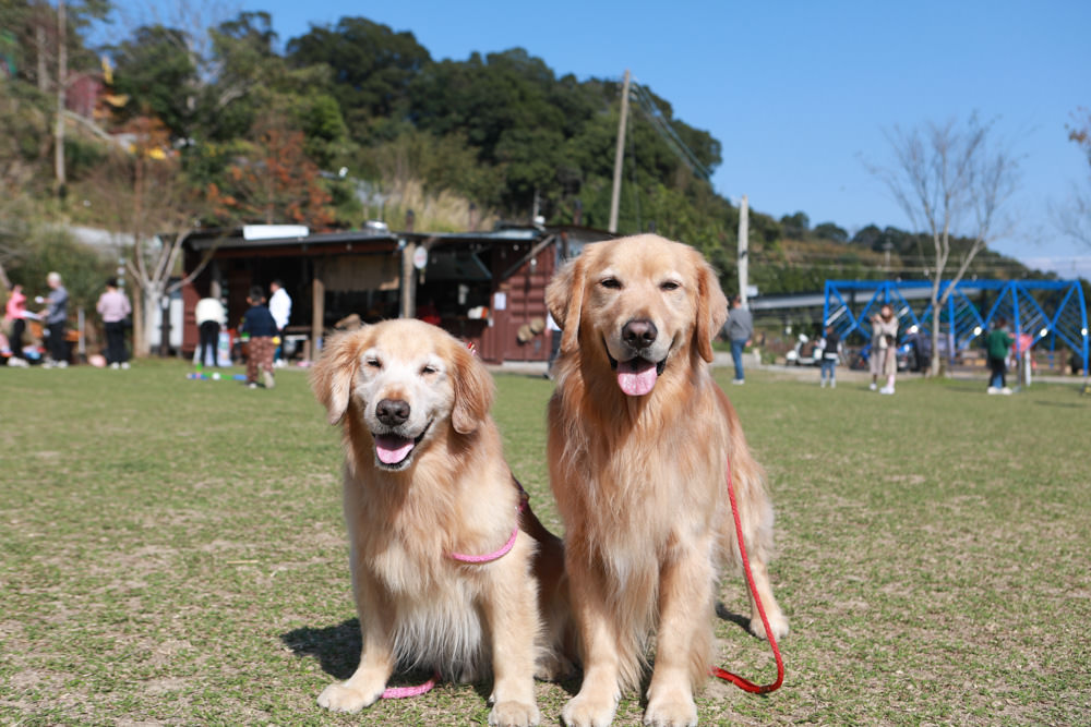 苗栗大湖｜琉璃秋境懶人野餐・窯烤披薩。寵物友善餐廳、帳篷野餐、絕美山嵐雲海景觀