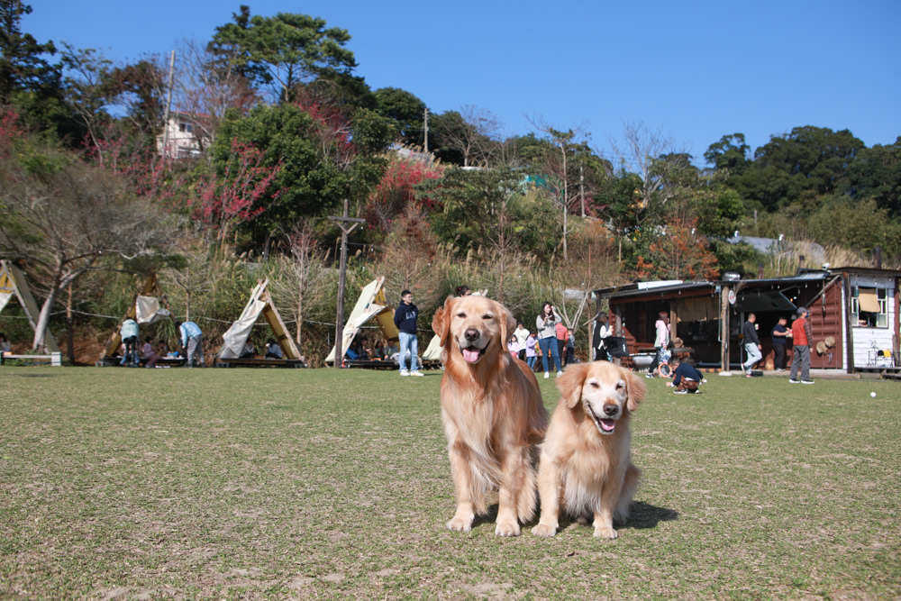 苗栗大湖｜琉璃秋境懶人野餐・窯烤披薩。寵物友善餐廳、帳篷野餐、絕美山嵐雲海景觀