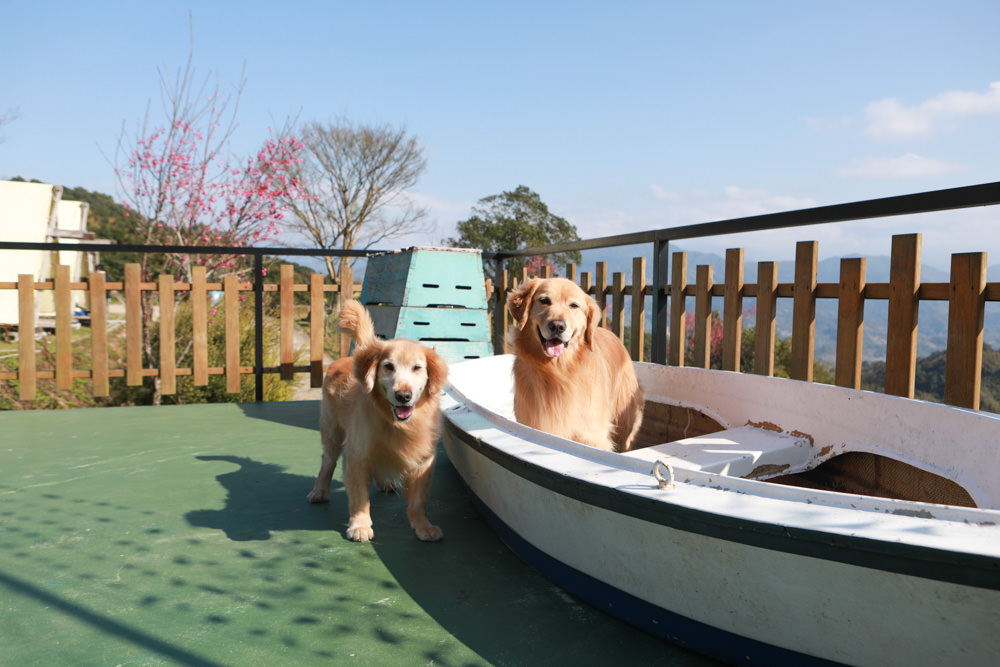 苗栗大湖｜琉璃秋境懶人野餐・窯烤披薩。寵物友善餐廳、帳篷野餐、絕美山嵐雲海景觀