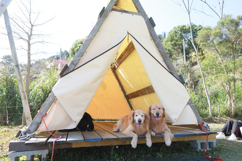 苗栗大湖｜琉璃秋境懶人野餐・窯烤披薩。寵物友善餐廳、帳篷野餐、絕美山嵐雲海景觀