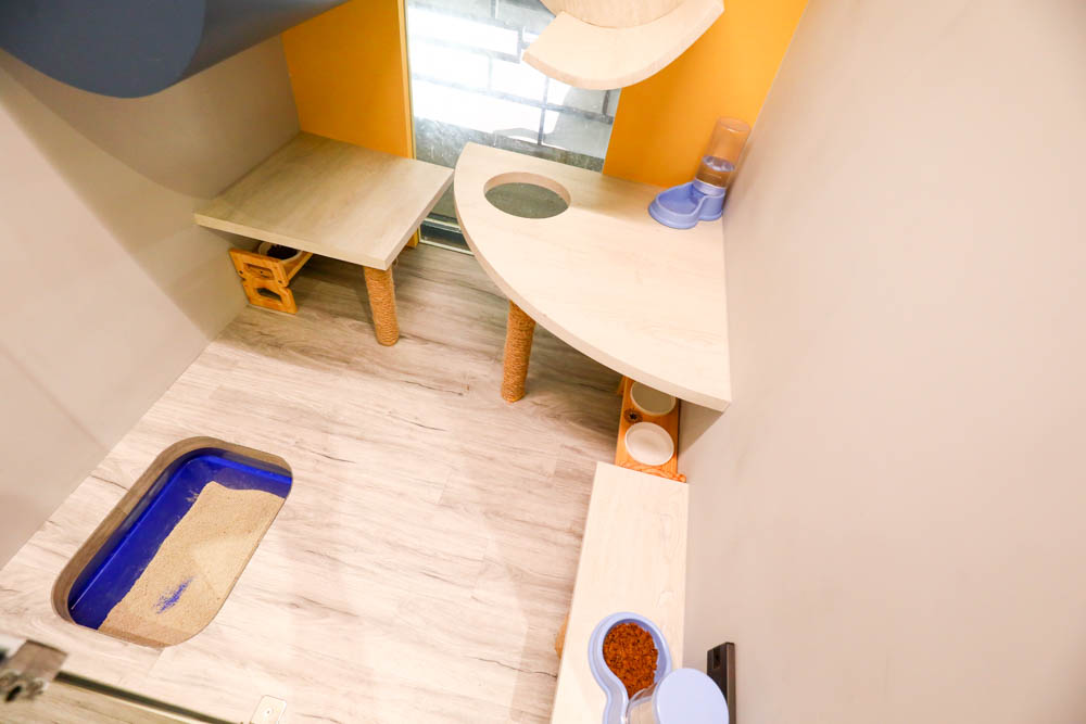 瑋特貓狗SPA生活館｜台中寵物美容頂級碳酸泉SPA、六星級狗狗住宿、寵物旅館、毛爸媽等候區咖啡廳、24小時保母