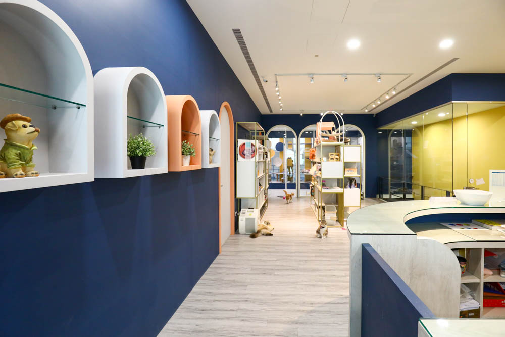 瑋特貓狗SPA生活館｜台中寵物美容頂級碳酸泉SPA、六星級狗狗住宿、寵物旅館、毛爸媽等候區咖啡廳、24小時保母