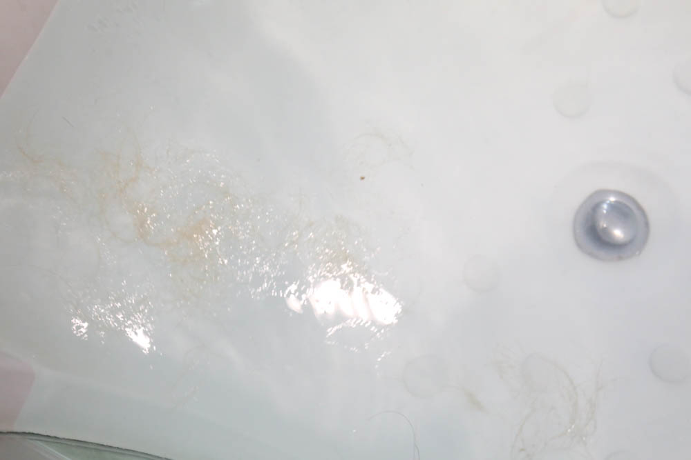 瑋特貓狗SPA生活館｜台中寵物美容頂級碳酸泉SPA、六星級狗狗住宿、寵物旅館、毛爸媽等候區咖啡廳、24小時保母