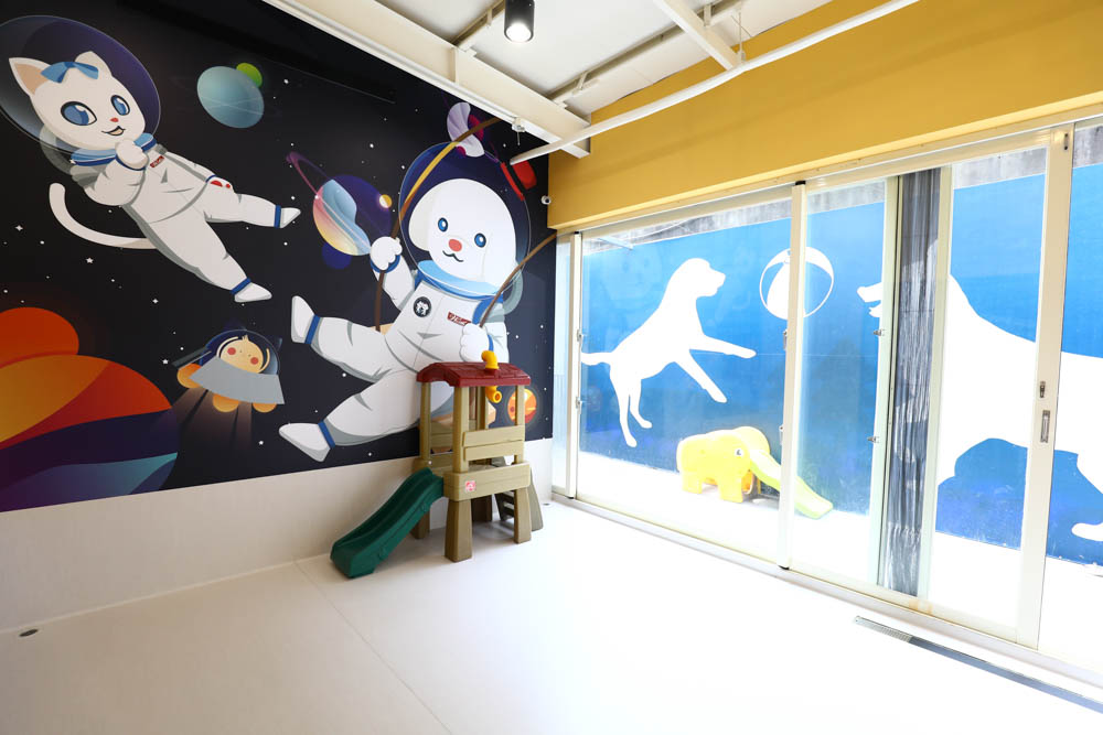 瑋特貓狗SPA生活館｜台中寵物美容頂級碳酸泉SPA、六星級狗狗住宿、寵物旅館、毛爸媽等候區咖啡廳、24小時保母
