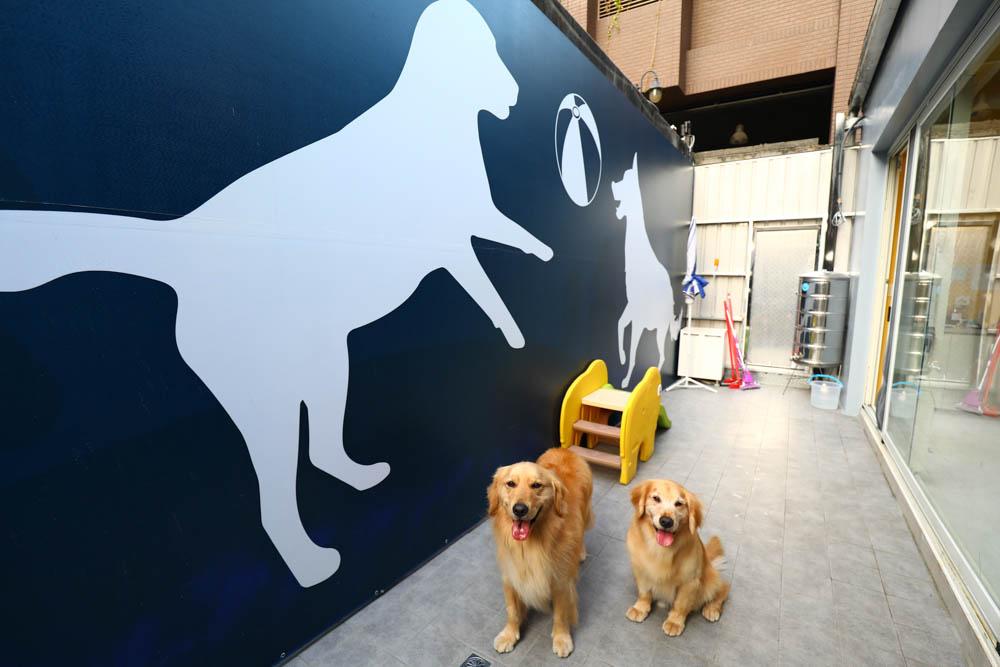 瑋特貓狗SPA生活館｜台中寵物美容頂級碳酸泉SPA、六星級狗狗住宿、寵物旅館、毛爸媽等候區咖啡廳、24小時保母
