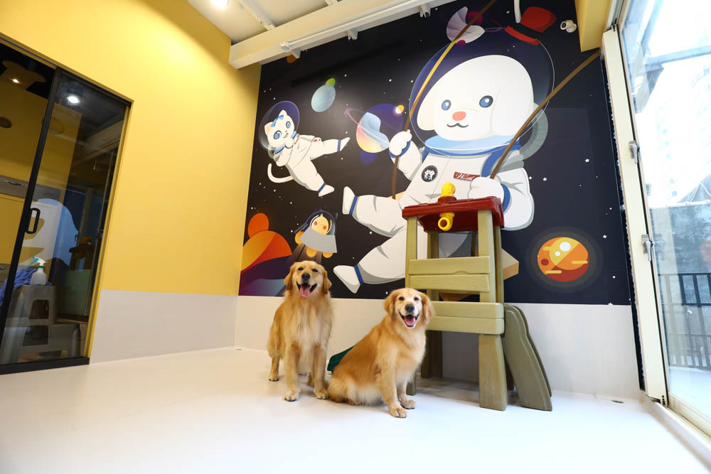 瑋特貓狗SPA生活館｜台中寵物美容頂級碳酸泉SPA、六星級狗狗住宿、寵物旅館、毛爸媽等候區咖啡廳、24小時保母