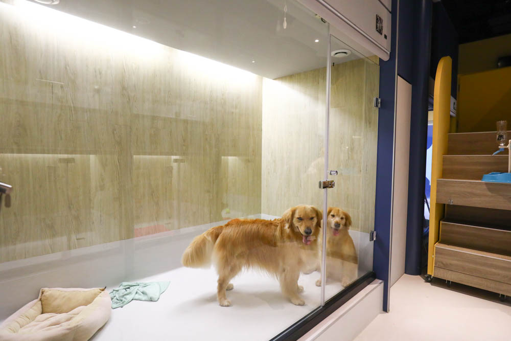 瑋特貓狗SPA生活館｜台中寵物美容頂級碳酸泉SPA、六星級狗狗住宿、寵物旅館、毛爸媽等候區咖啡廳、24小時保母