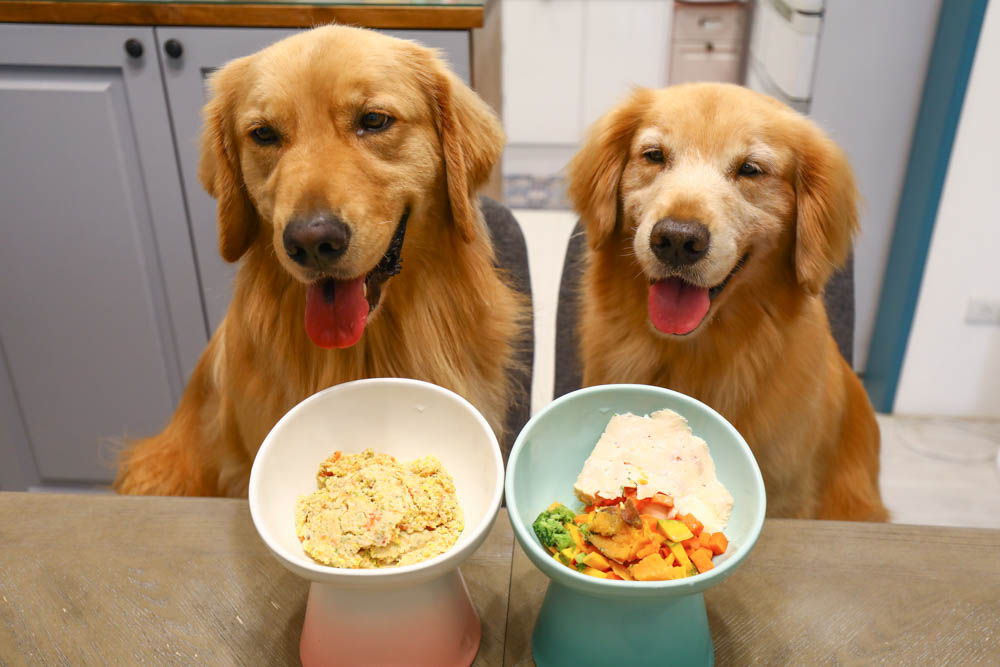 台北|璞食日計 低脂低鈉無油健康便當。外帶餐盒、舒肥料理、低GI餐食、新鮮現作寵物鮮食 - 第24張圖 台北|璞食日計 低脂低鈉無油健康便當。外帶餐盒、舒肥料理、低GI餐食、新鮮現作寵物鮮食