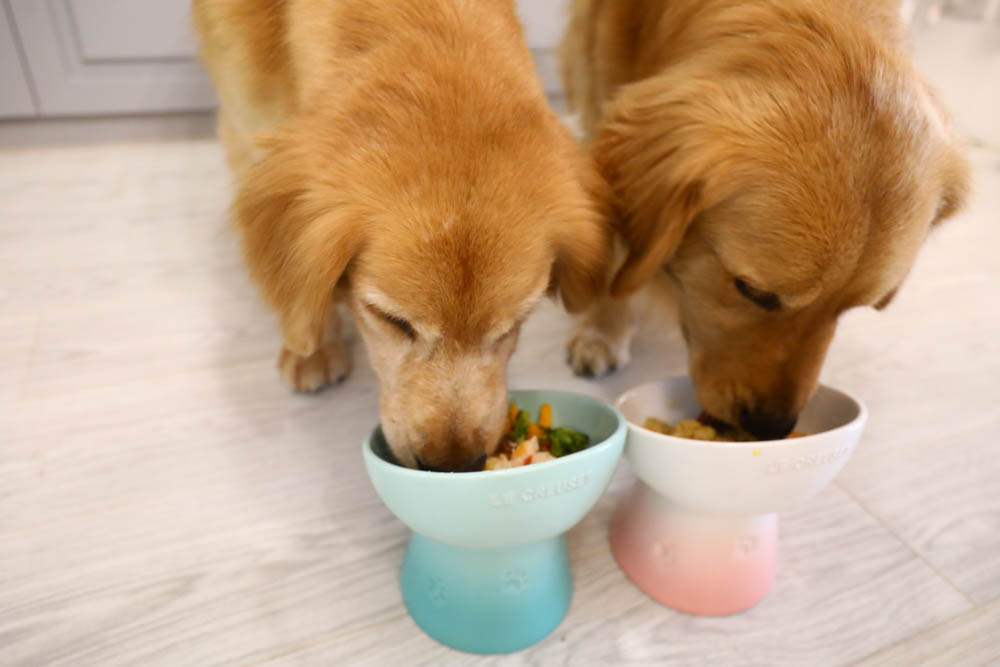 台北|璞食日計 低脂低鈉無油健康便當。外帶餐盒、舒肥料理、低GI餐食、新鮮現作寵物鮮食 - 第25張圖 台北|璞食日計 低脂低鈉無油健康便當。外帶餐盒、舒肥料理、低GI餐食、新鮮現作寵物鮮食