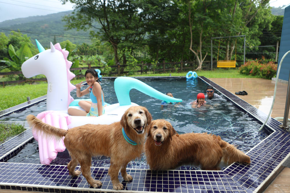 花蓮壽豐包棟泳池民宿｜生活就是VILLA會館II區。寵物友善、可住10人、大草皮、游泳池