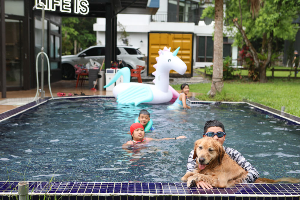 花蓮壽豐包棟泳池民宿｜生活就是VILLA會館II區。寵物友善、可住10人、大草皮、游泳池