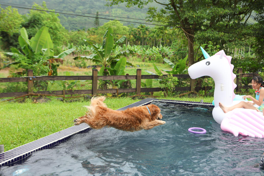 花蓮壽豐包棟泳池民宿｜生活就是VILLA會館II區。寵物友善、可住10人、大草皮、游泳池