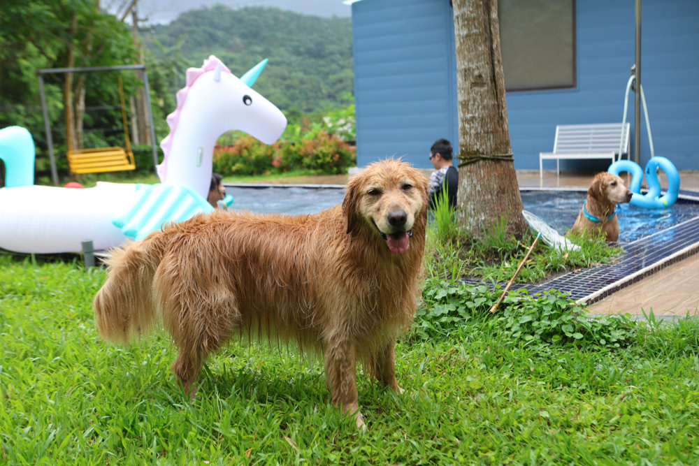 花蓮壽豐包棟泳池民宿｜生活就是VILLA會館II區。寵物友善、可住10人、大草皮、游泳池