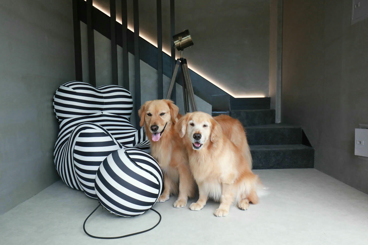 花蓮包棟泳池民宿|生活就是VILLA會館 I區。寵物友善、游泳池、大草皮、獨棟villa - 第21張圖 花蓮包棟泳池民宿|生活就是VILLA會館 I區。寵物友善、游泳池、大草皮、獨棟villa