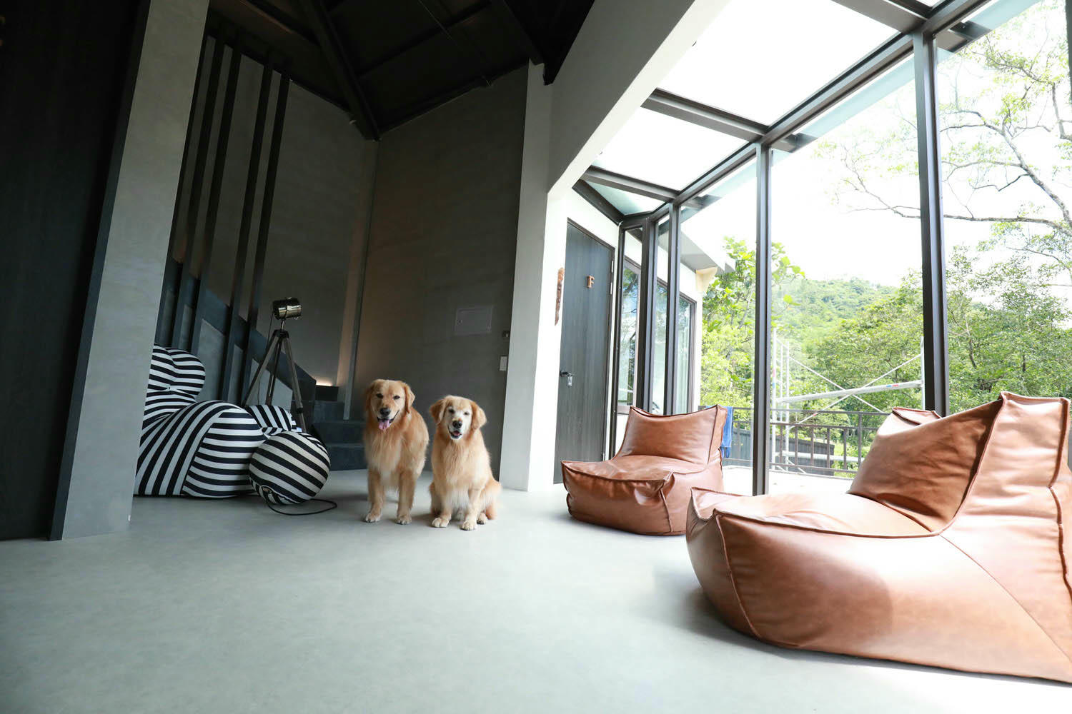 花蓮包棟泳池民宿|生活就是VILLA會館 I區。寵物友善、游泳池、大草皮、獨棟villa - 第18張圖 花蓮包棟泳池民宿|生活就是VILLA會館 I區。寵物友善、游泳池、大草皮、獨棟villa