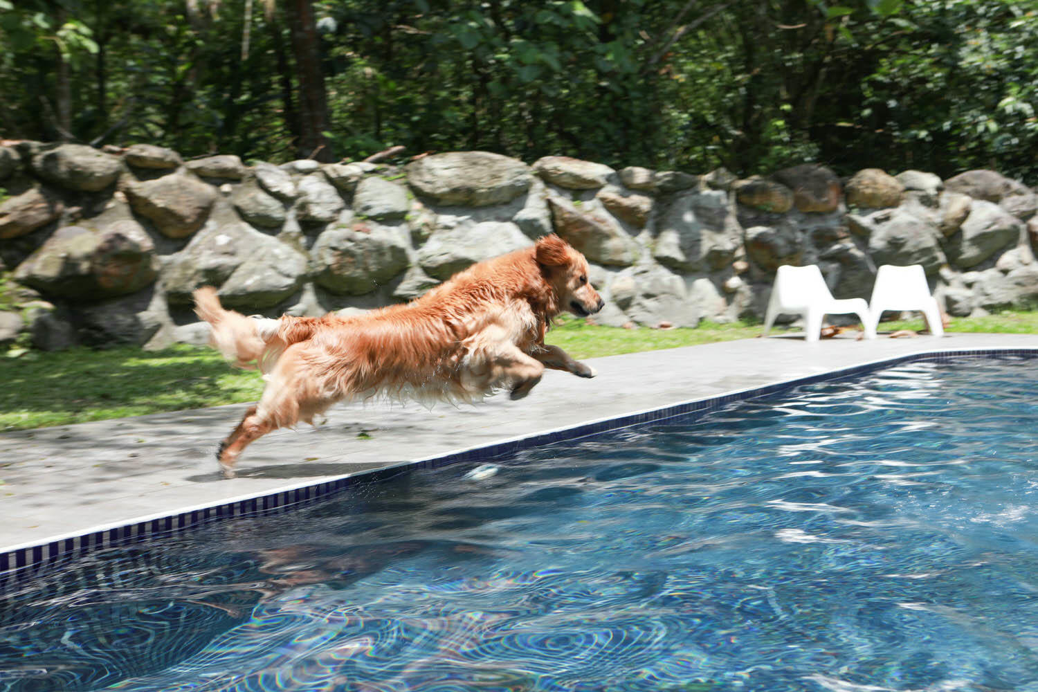 花蓮包棟泳池民宿|生活就是VILLA會館 I區。寵物友善、游泳池、大草皮、獨棟villa - 第34張圖 花蓮包棟泳池民宿|生活就是VILLA會館 I區。寵物友善、游泳池、大草皮、獨棟villa