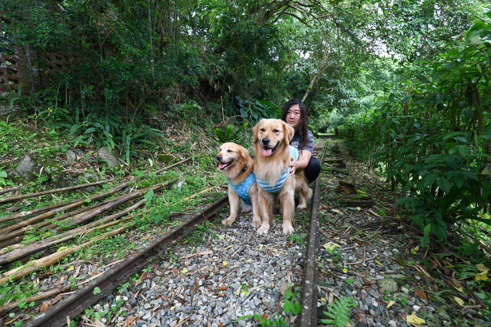 英國凱萊寵物險｜寵物全方位健康保險。最完善保障毛小孩、續保年齡無上限、安心用心呵護！