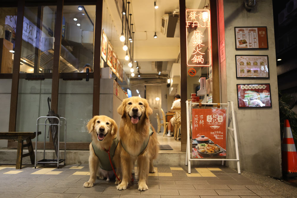 台北西門町美食|發記麻辣火鍋西門旗艦店。寵物友善餐廳、一人獨享料多平價麻辣鍋、招待毛孩鮮食肉肉 - 第8張圖 台北西門町美食|發記麻辣火鍋西門旗艦店。寵物友善餐廳、一人獨享料多平價麻辣鍋、招待毛孩鮮食肉肉
